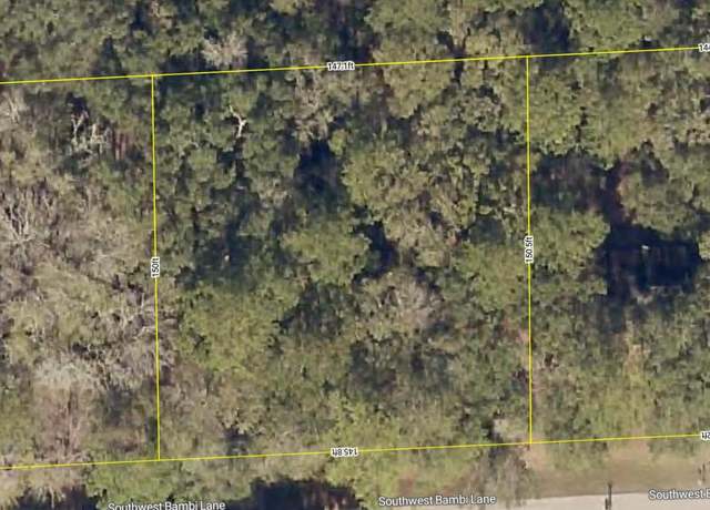 Property at 237 SW Bambi Ln, Lake City, FL 32025