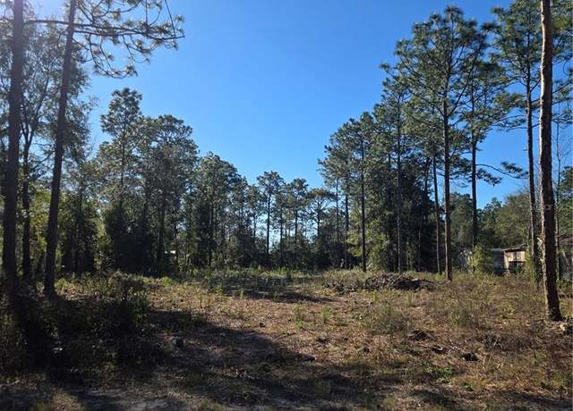 Property at TBD SW 46th St, Dunnellon, FL 34432