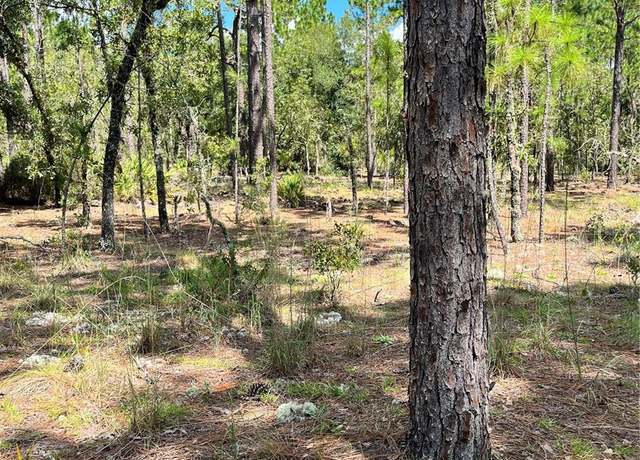 Property at TBD SW 156th Ct, Ocala, FL 34481