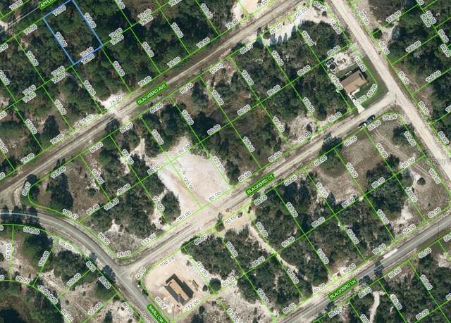 Property at 447 Apple Blossom Ct, Lake Placid, FL 33852