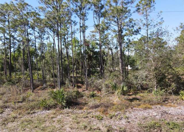 Property at 12295 Graffiti Dr, Punta Gorda, FL 33955