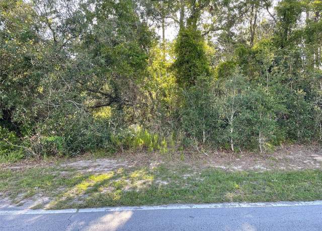 Property at 8217 Nightingale Rd, Weeki Wachee, FL 34613
