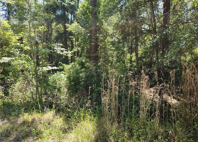 Property at 0000 NE 66th Ave, Citra, FL 32113