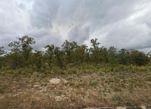 Property at Dellbrook Dr, Chipley, FL 32428