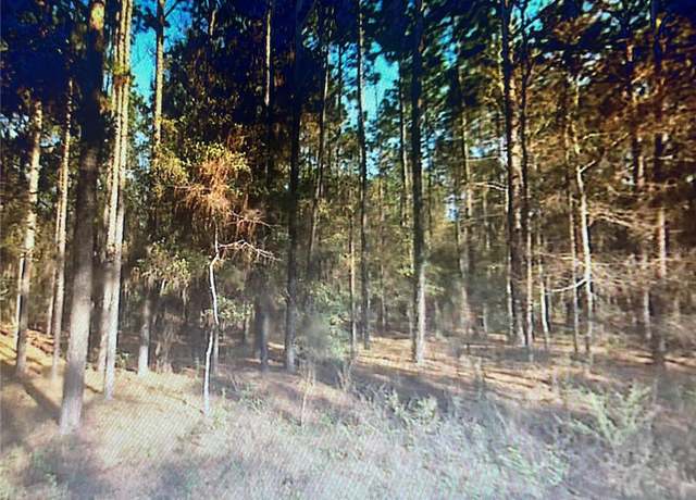 Property at TBD SW 21st St, Ocala, FL 34481