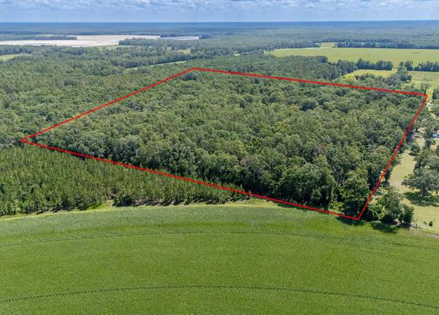 Property at 8289 NE Highway 349, Old Town, FL 32680, 3 beds, 2 baths