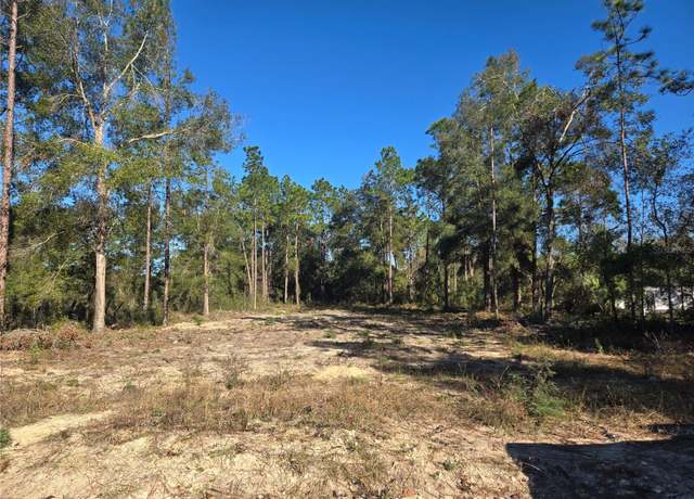 Property at TBD SW 49th Pl, Dunnellon, FL 34432