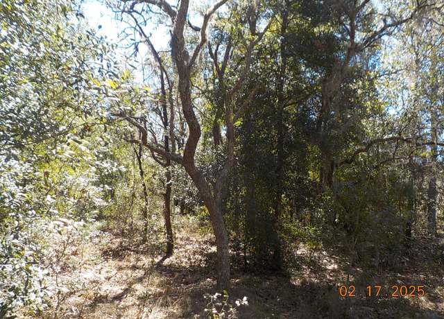 Property at 964 E Wacker St, Hernando, FL 34442