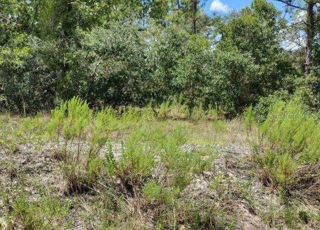 Property at 0 SW Cottonwood Ln, Dunnellon, FL 34431