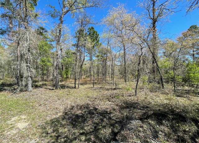 Property at Lot 12 SE 117 Ter, Morriston, FL 32668