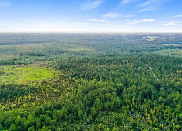Property at Salyers Rd, Clermont, FL 34711