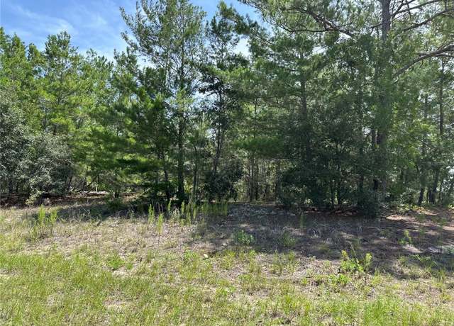 Property at 6202 N Mariner Ter, Citrus Springs, FL 34433