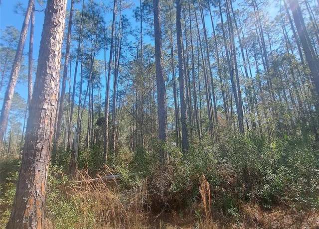 Property at 5146 Lime Ave, Bunnell, FL 32110