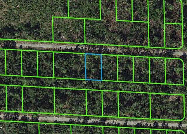 Property at 3410 Sandhill Crane Ave, Lake Placid, FL 33852