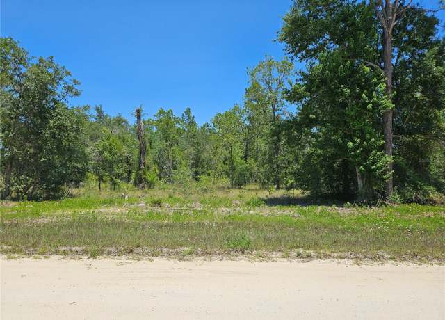 Property at TBD SE 26th St, Morriston, FL 32668