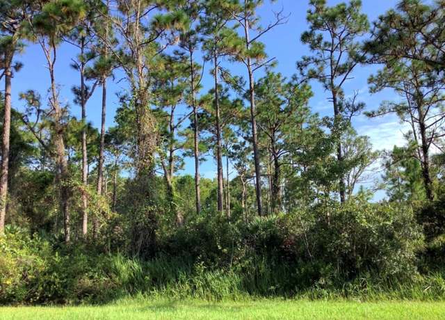 Property at Quinella St, Orlando, FL 32833