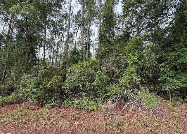 Property at 151 Arden St, Georgetown, FL 32139