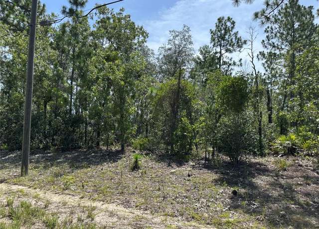 Property at 8893 N Lansen Way, Citrus Springs, FL 34433