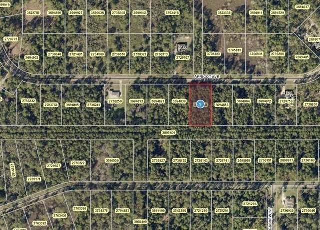Property at Apricot Ave Lot 17, Eustis, FL 32736