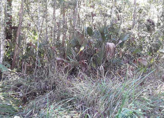 Property at NE 37th Terrace Ter, Citra, FL 32113