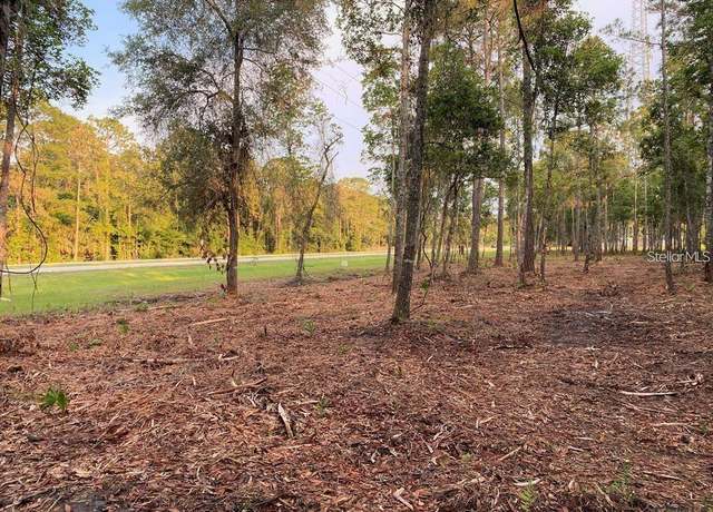 Property at 53xx US Hwy 1 N, Bunnell, FL 32110