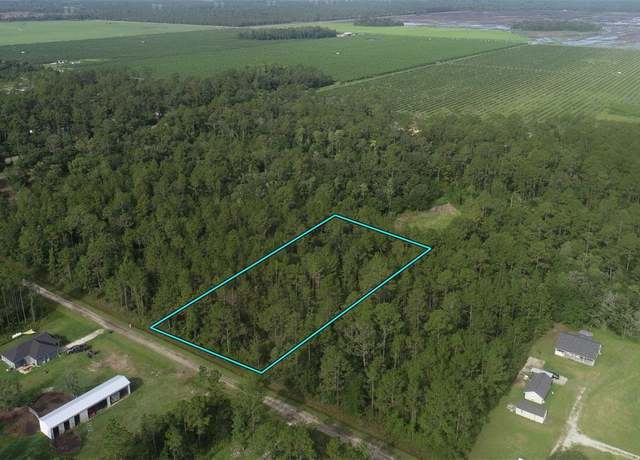 Property at 10325 Gregory Ave, Hastings, FL 32145
