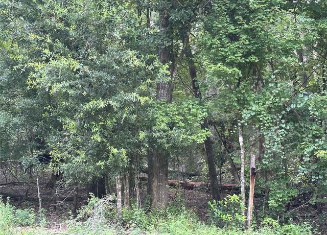 Property at TBD SW Reno Way, Fort White, FL 32038