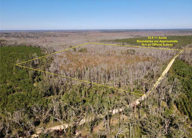 Property at 00 SW Sampala Lake Rd, Madison, FL 32340