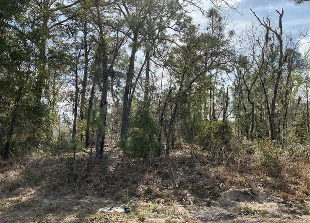 Property at 0 Locust Loop Crse, Ocala, FL 34472