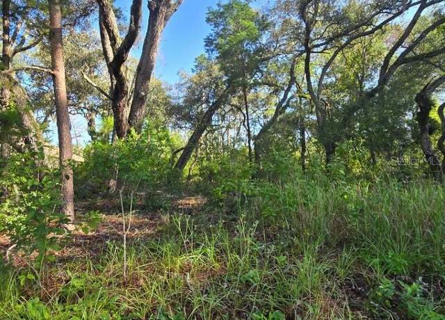Property at 13603 Gopher Pond Ct, Hudson, FL 34669