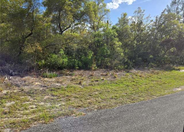 Property at CR 245c, Oxford, FL 34484