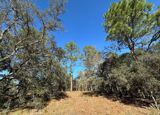 Property at 14731 SE 5th Pl, Williston, FL 32696