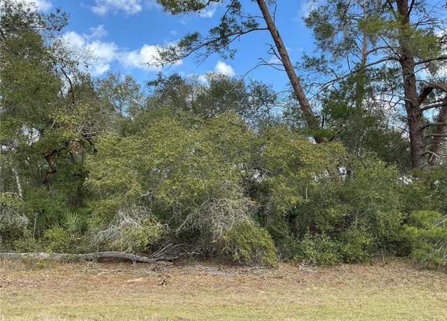 Property at 0 SW 152nd Ln, Ocala, FL 34473
