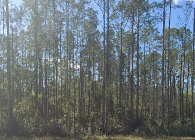 Property at 125 Pine Cone Dr, Georgetown, FL 32139