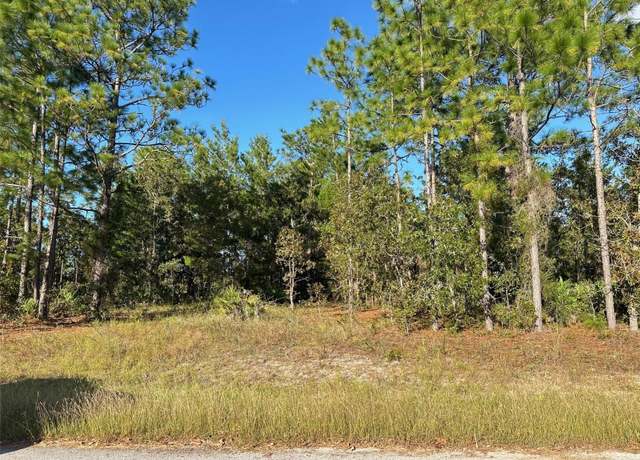 Property at 11 Poppy St, Homosassa, FL 34446