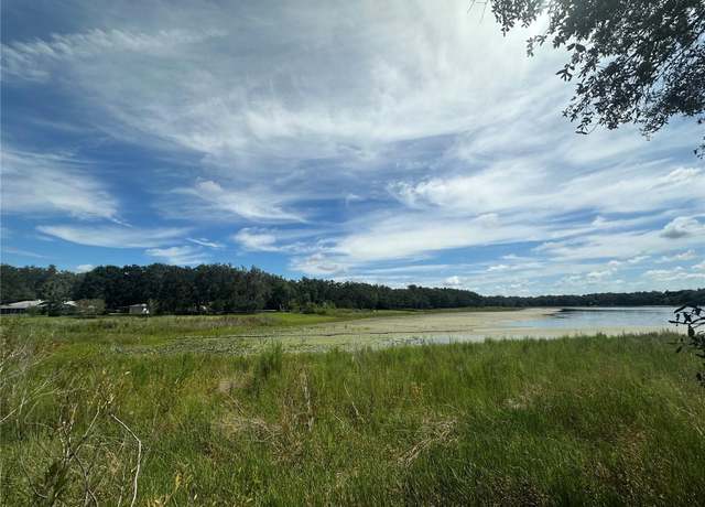 Property at 449 450 & E1/2 LOT 451 SW Shorewood Dr, Dunnellon, FL 34431