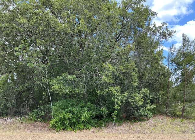 Property at Malauka Loop, Ocklawaha, FL 32179