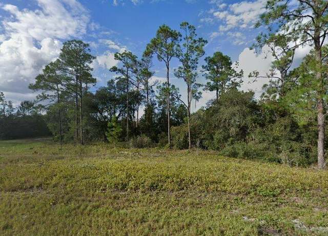Property at 1329 ST Augustine Ct, Kissimmee, FL 34759