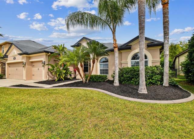 Property at 15135 Azra Dr, Odessa, FL 33556, 4 beds, 3 baths