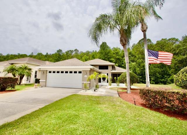 Property at 1723 Cortleigh Dr, Trinity, FL 34655, 3 beds, 2 baths
