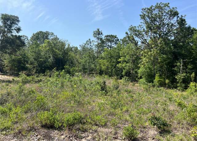 Property at 15151 NE 3rd Pl, Williston, FL 32696