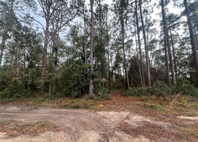 Property at Susan St, Interlachen, FL 32148