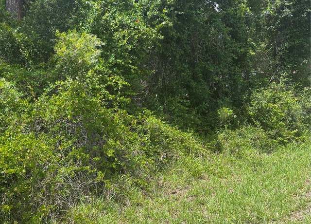 Property at 00 SE 186th Ct, Ocklawaha, FL 32179