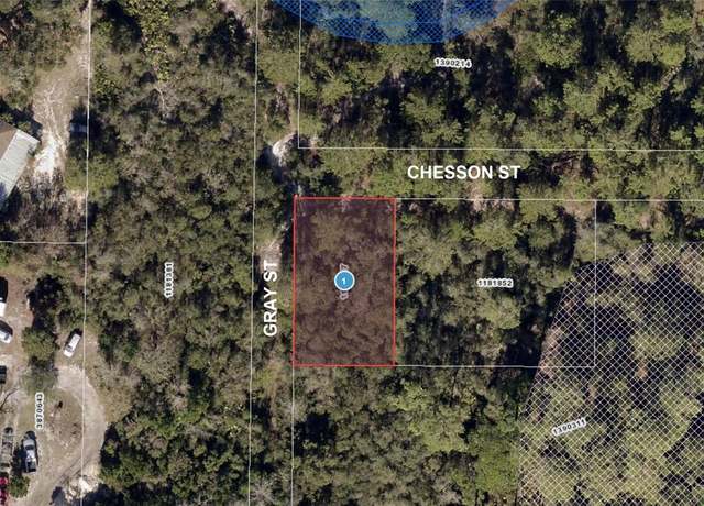 Property at 0 Chesson St, Leesburg, FL 34788