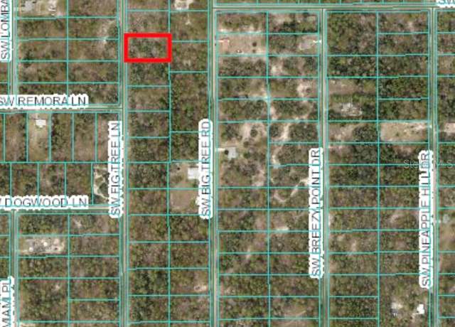 Property at TBD SW Fig Tree Ln, Dunnellon, FL 34431
