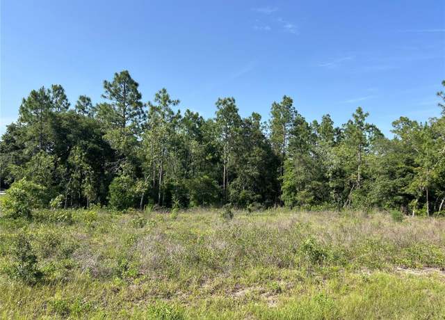 Property at NE 150th Ave, Williston, FL 32696