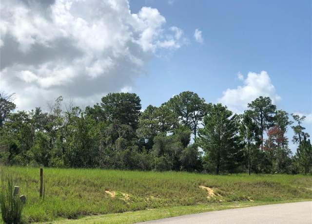 Property at 1005 Hawks Landing Dr, Sebring, FL 33875