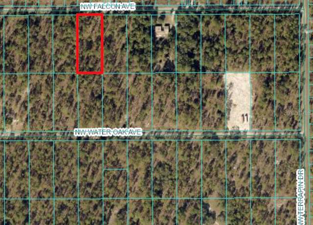 Property at TBD NW Falcon Ave, Dunnellon, FL 34431