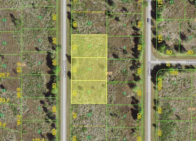 Property at 238, 246 & 254 Morales St, Port Charlotte, FL 33953