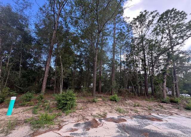 Property at 0 Bahia Circle Dr, Ocklawaha, FL 32179